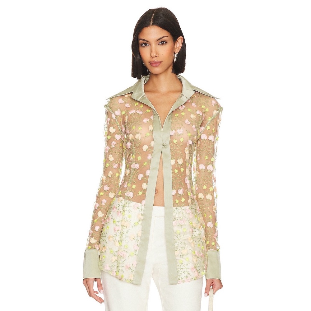 Elegant Sheer Green Blouse